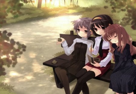 suzumiya haruhi no yuutsu - yuki, nagato, haruhi, suzumiya, mikuru