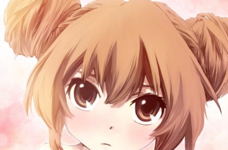 Taiga - love, girl, hair, eyes, harem, brown, anime, doratora, tiger, cute, short