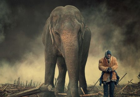 Art - blackground, elephant, cloud, tree, hdr, old woman