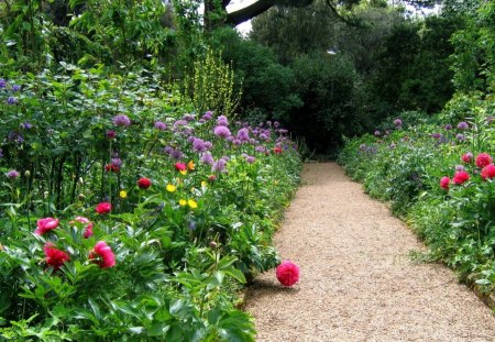 flowers on the way - way, green, awesome, flowers, lovely