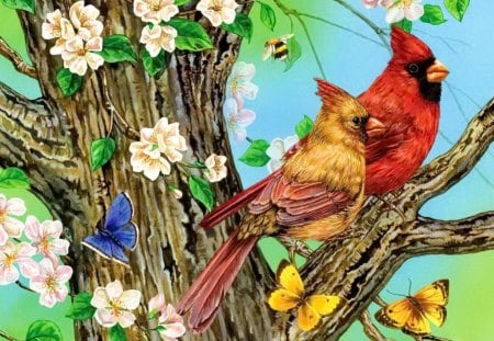 A cardinal pair - blooming, blossoms, summer, flower, forest, pair, beautiful, cardinal, tree, animal, pretty, bird, spring, love, branches, butterfly, nice, lovely, painting