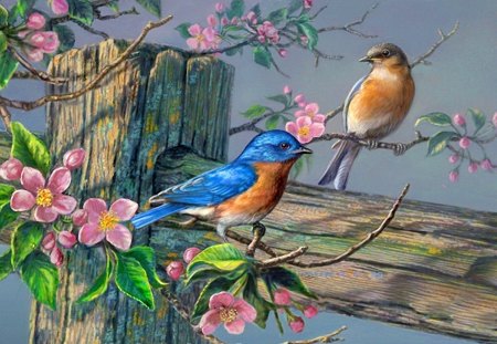 Birds on spring branch - nice, love, branches, blooming, song, lovely, spring, painting, pair, pretty, blossoms, beautiful, leaves, tree, sing, birds