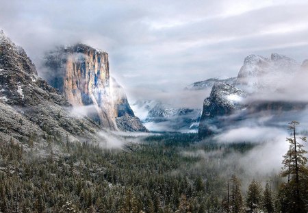 Frosty mountain - snow, frosty, mountain, tree