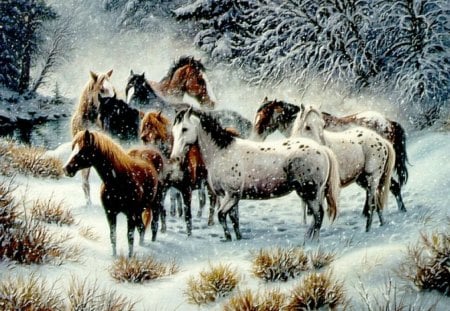 Snow herd - snow, trees, winter, herd