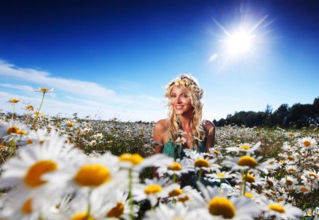 Girl in camomile field - blonde, flower, girl, sun