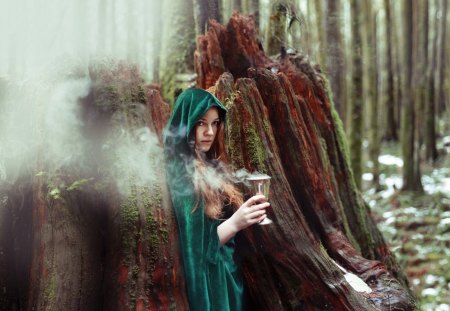 *** Witch *** - witch, trees, people, lady, woman, forest