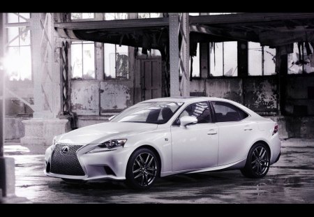 lexus - road, lexus, white, car