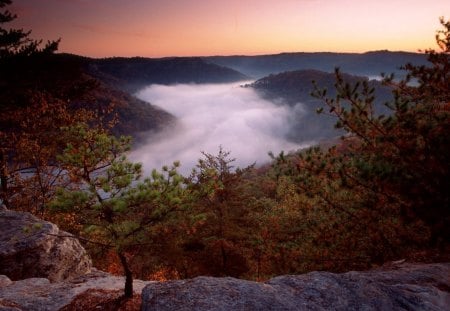 foggy morn red river