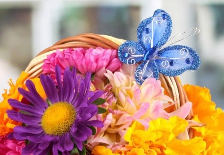 Colorful flowers - butterfly, petals, natute, basket, flowers