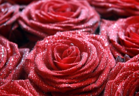 ✿.Lovely Rose.✿ - flowers, red rose, passion, kisses, romantic, red, rose, love