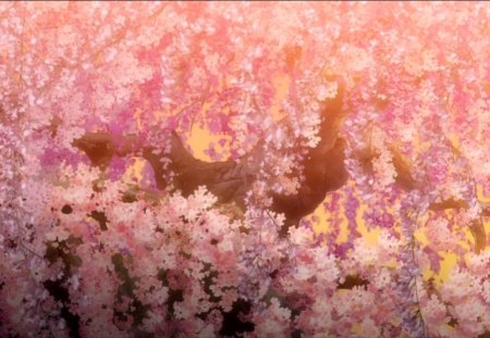 Cherry Blossom - lovely, nature, cherry blossom, floral, sakura, pink, petals, blossom, plant, anime, sakura blossom, sweet, tree, flower