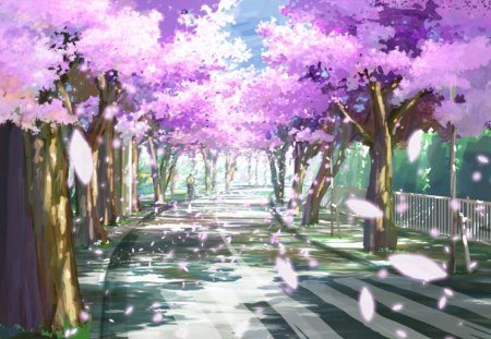 Blossom Path - street, path, lovely, road, wind, cherry blossom, floral, sakura, pink, petals, blossom, anime, sakura blossom, sweet, breeze, flower