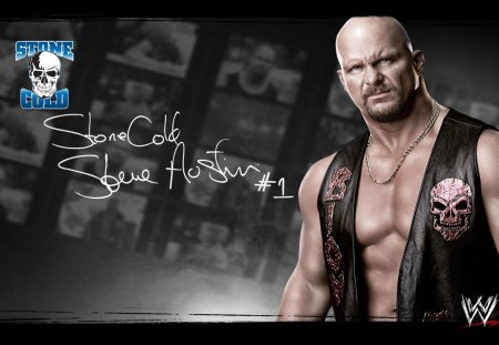 stone cold - stevemstone, wrestler, wwe, stunner