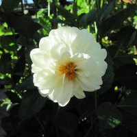 A great day at Edmonton garden 15