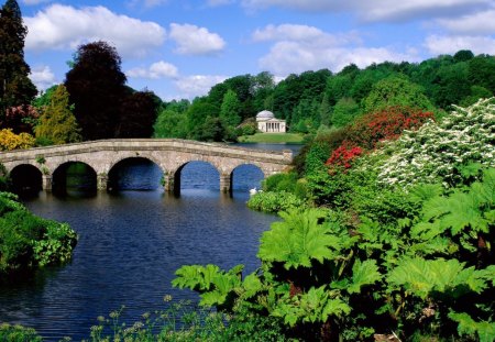 awesome - nature, green, awesome, bridge