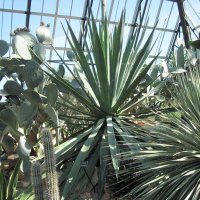 A great day at Edmonton garden 27