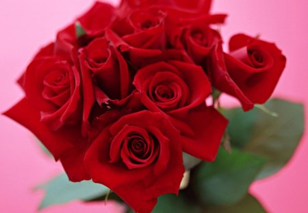 BOUQUET - beautiful, red, red roses, bouquet, pink