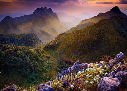 mountain - flower, mountain, sun, clouds