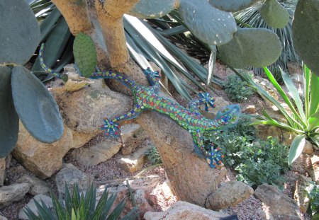 A great day at Edmonton garden 43 - Flowers, decor, green, photography, cactus, rocks