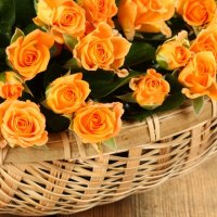 roses basket