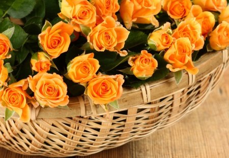 roses basket - basket, flower, yellow, roses