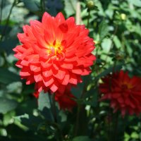 A great day at Edmonton garden 50