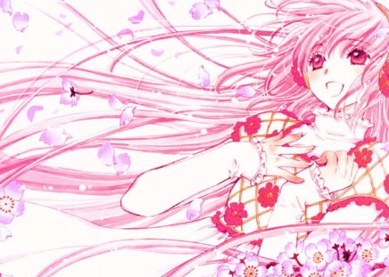 Kobato - flowers, petals, pink, cherry blossoms