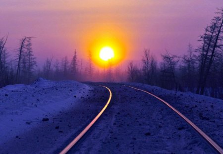 Sunset at the end of the Rails - railway, trees, sunset, snow