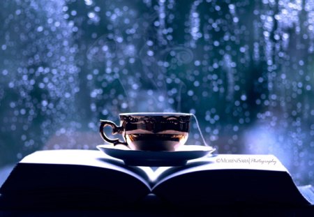 Rainy FairyTales - fairy, rainy, book, cup