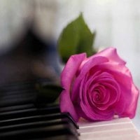 Rose On Piano