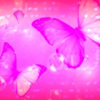 Pink butterflies