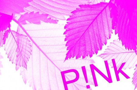 I love pink! - white, word, cehenot, vector, art, abstract, pink, leaves