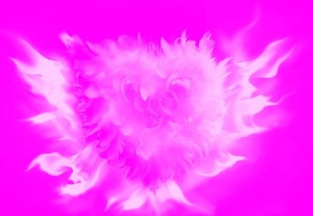 I love pink! - fire, pink, heart, feathers, love, vector, abstract, art