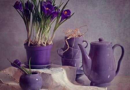 still life in purplе - still, purple, beautiful, life in purple, life