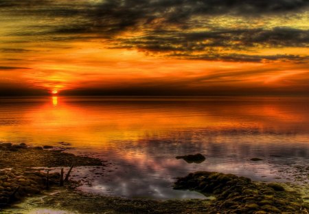 magnificent sunset hdr - horizon, beach, sunset, hdr, sea