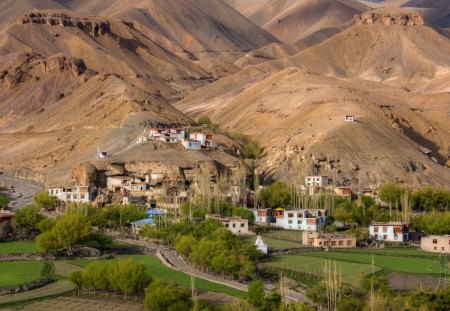 lovely village by a mountain - village, fields, trees, mountain