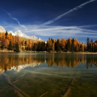 lake in summer