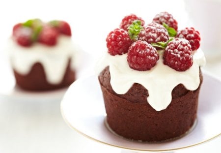 Chocolate muffins - plate, desserts, cakes, muffins, food, chocolate, fruits