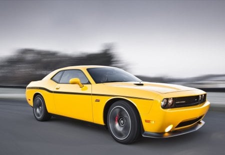 dodge challenger srt8 - dodge, yellow, challenger, road