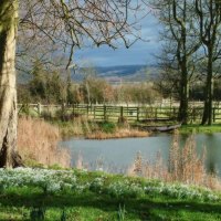 wonderful pond in the countryside