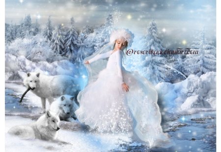 DANCE WITH WOLVES - white, wolves, dance, female, snow, winter, child, dress