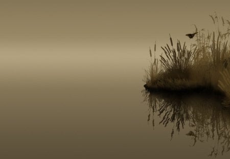 butterfly in a sepia lake photo - photo, lake, reeds, betterfly