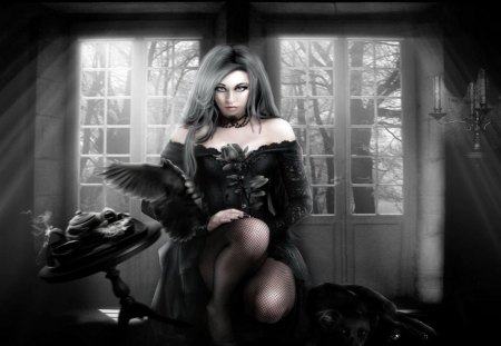 The black Rose - women, magic, black, gothic, rose, vampire, fantasy, raven, cgi, dark, window, 3d, dog