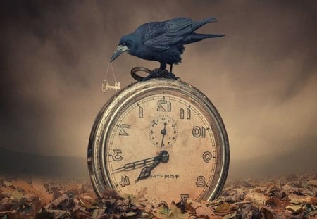 Raven - blackground, key, clock, raven, foliage