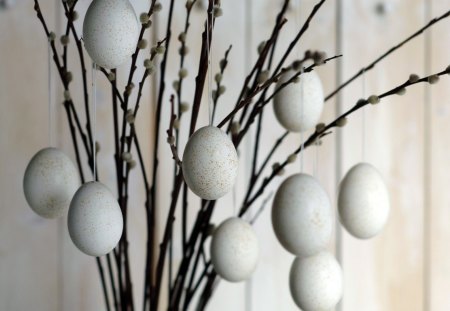 Easter - eggs, wp, deco, photography, spring, joy, easter, holiday, bw