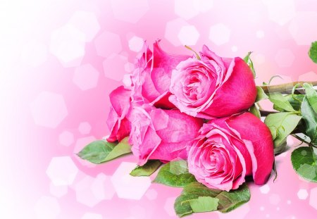 Pink Bouquet - roses, amazing, beautiful, lovely, pink, bouquet, flowers, nature, soft, super, pastel