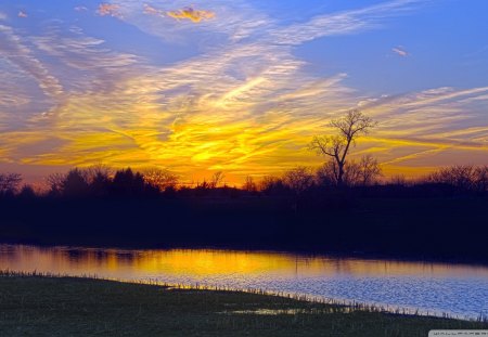 wonderful sunset over river - trees, sunset, river, grass