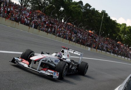 Formula 1 Grand Prix - cars, grand prix, racing, formula