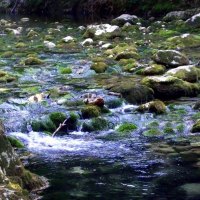 mountain stream