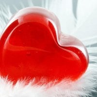 Red heart with white feather around it..